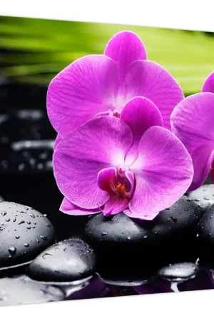 Schilderij - Orchideeën Tani