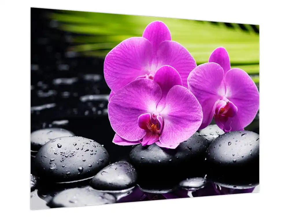 Schilderij - Orchideeën Tani