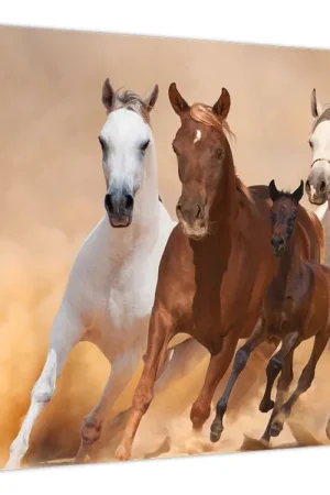 Najlepsza cena Schilderij - Kudde paarden