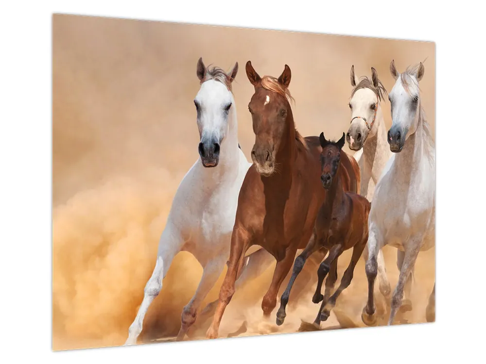 Najlepsza cena Schilderij - Kudde paarden