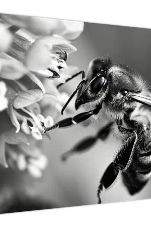 Schilderij - Detail van bij Najlepsza cena