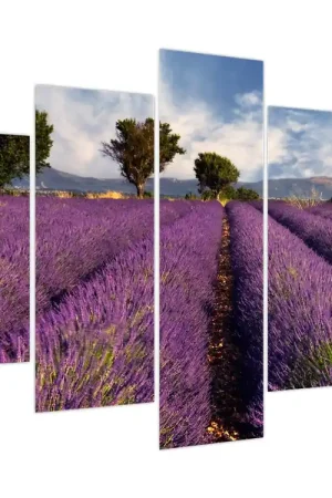 Schilderij - Lavendelveld en bergen Nowość