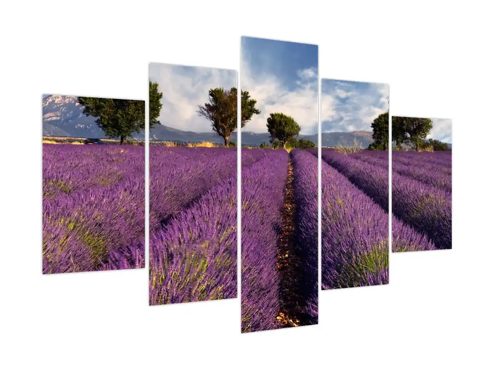 Schilderij - Lavendelveld en bergen Nowość
