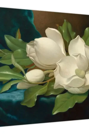 Schilderij - Martin Johnson Heade, Giant Magnolias on a Blue Velvet Cloth, reproducties Promocja