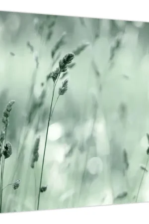 Autentyczny Schilderij - Groene weide