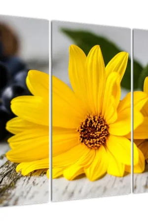 Schilderij - Gele bloemen Szybka dostawa