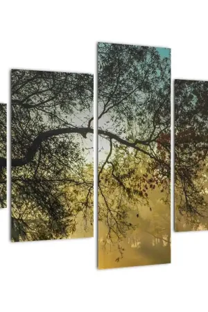 Schilderij - Zonsopgang Wyprzedaż