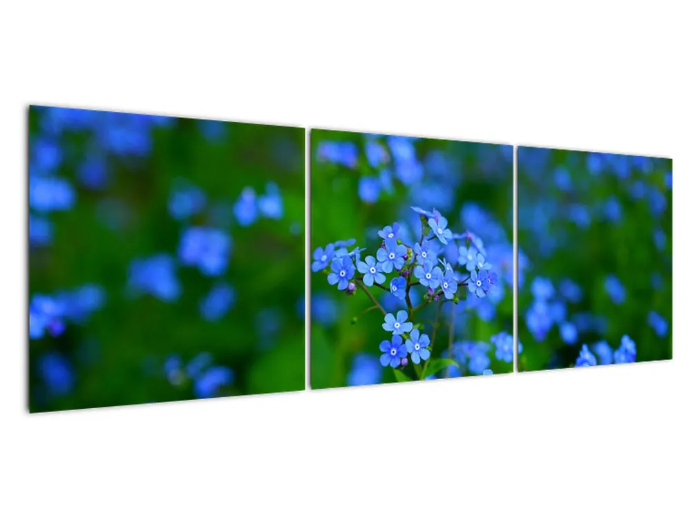 Schilderij - Blauwe bloemen Oferta limitowana