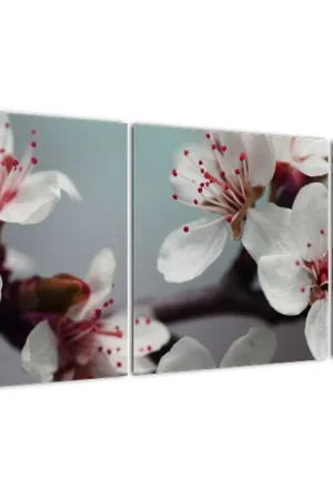 Schilderij - Bloesems, rood Najlepsza cena