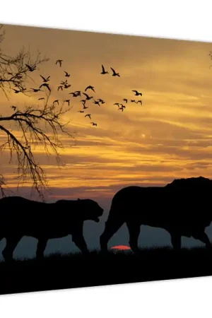 Schilderij - Safari Najlepsza cena