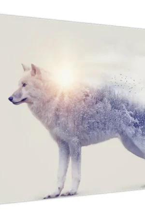 Schilderij - Poolwolf weerspiegelt wild landschap Niska cena