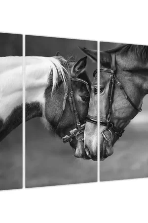 Schilderij - Verliefde paarden, zwart-wit Darmowa dostawa