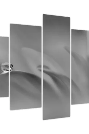 Niska cena Schilderij - Bloesem met druppel, zwart-wit