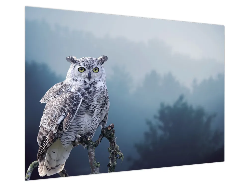 Schilderij - Sneeuwuil Zwrot pieniędzy