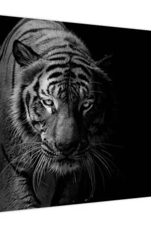 Nowość Schilderij - Wilde tijger