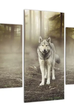 Nowość Schilderij - Boswachter