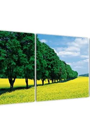 Szybka dostawa Schilderij - Veld met allee