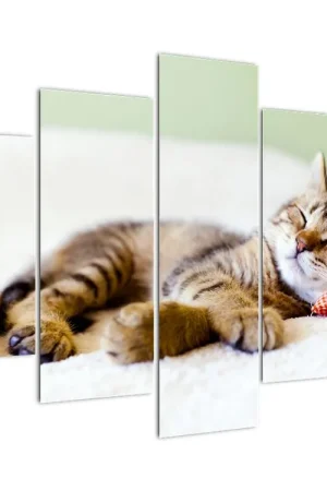 Oferta Schilderij - Slapende paarden