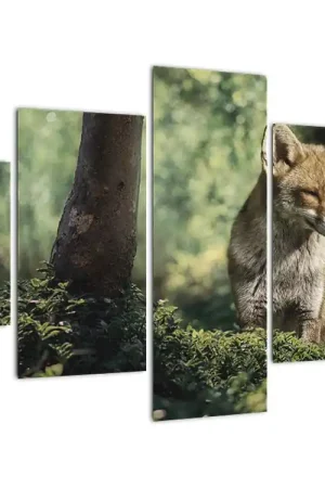 Tani Schilderij - Vos