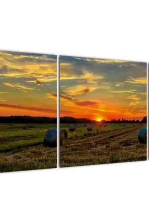 Schilderij - Hooiballen Zamów teraz