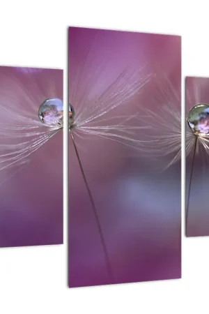 Premium Schilderij - Waterdruppels en pluis