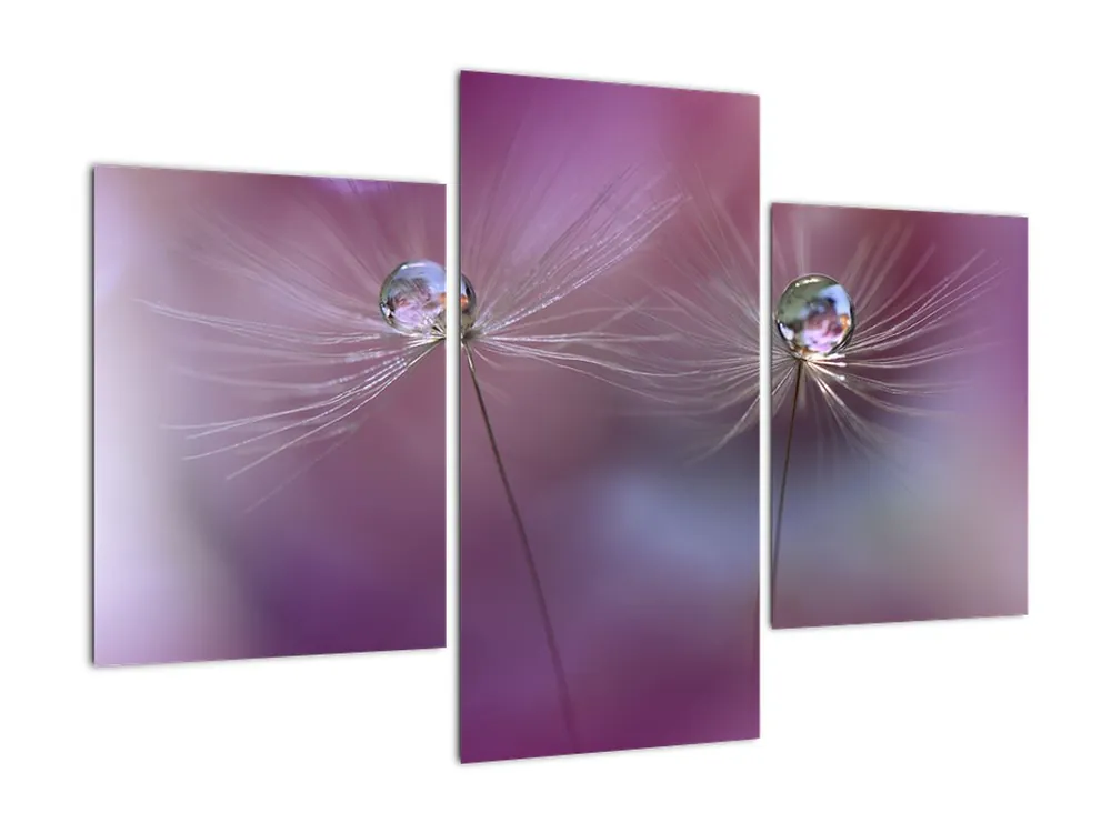 Premium Schilderij - Waterdruppels en pluis