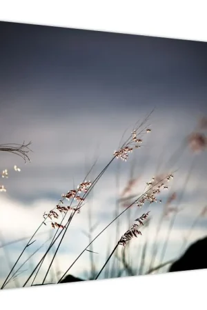 Ekspresowa dostawa Schilderij - Weidebloemen aan het meer