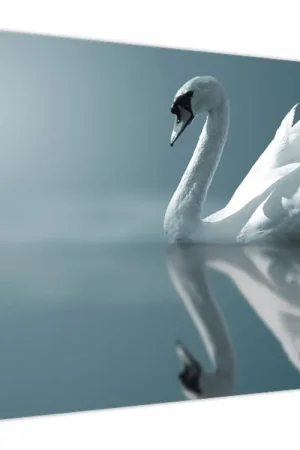 Najlepsza cena Schilderij - Witte zwaan