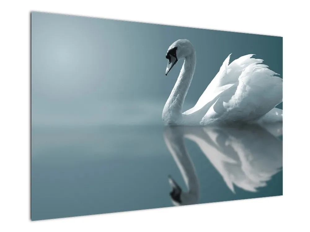 Najlepsza cena Schilderij - Witte zwaan