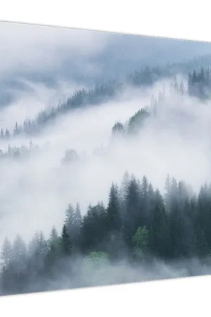 Wyprzedaż Schilderij - Bomen in de mist