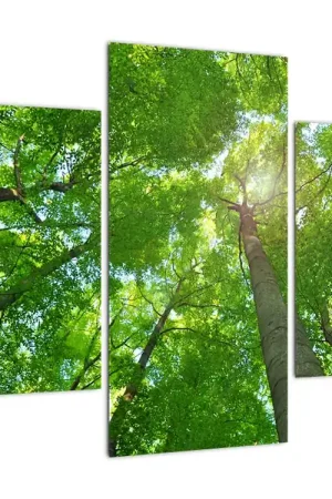 Schilderij - Bos Wysoka jakość