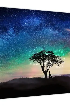 Popularny Schilderij - Rust onder de sterren