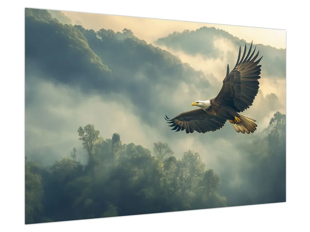 Tylko dziś Schilderij - Vliegende arend