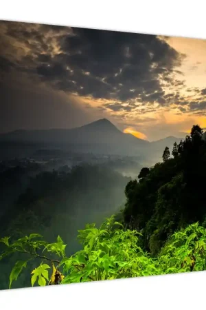 Schilderij - Groen berglandschap Najlepsza cena