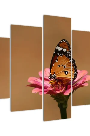 Kup teraz Schilderij - Vlinder op bloem