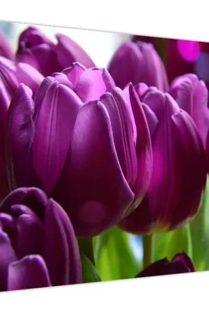 Schilderij - Tulpen Autentyczny