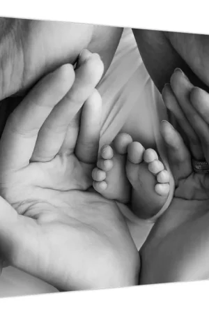 Wysoka jakość Schilderij - Pasgeboren