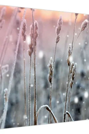 Zwrot pieniędzy Schilderij - Winterlandschap