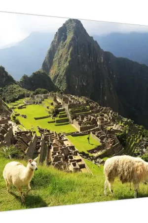Oryginalny Schilderij - Machu Picchu