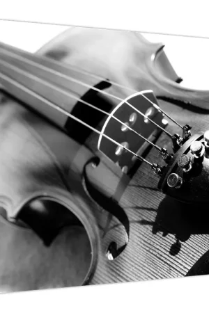 Schilderij - Viool Ostatnia szansa