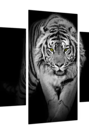 Darmowa dostawa Schilderij - Tijger met gele ogen