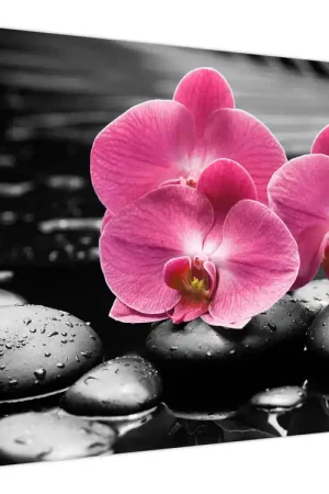 Schilderij - Roze orchideeën Autentyczny