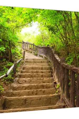 Schilderij - Trappen in de natuur Autentyczny