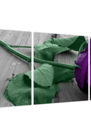 Zwrot pieniędzy Schilderij - Paarse roos met groene steel