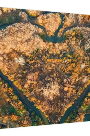 Oryginalny Schilderij - Hartvormige rivier