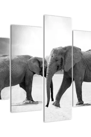 Schilderij - Zwart-witte olifanten Szybka dostawa