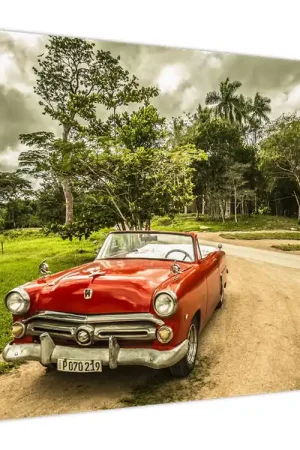 Darmowa dostawa Schilderij - Oldtimer in de natuur