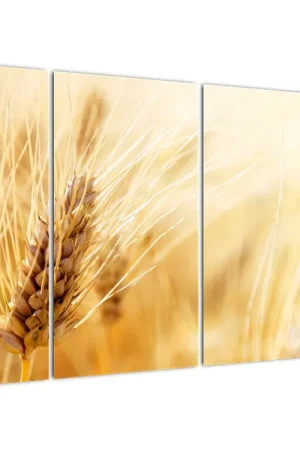 Wysoka jakość Schilderij - Graan, detail