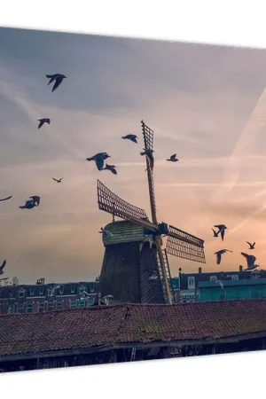 Schilderij - Windmolen Oferta limitowana