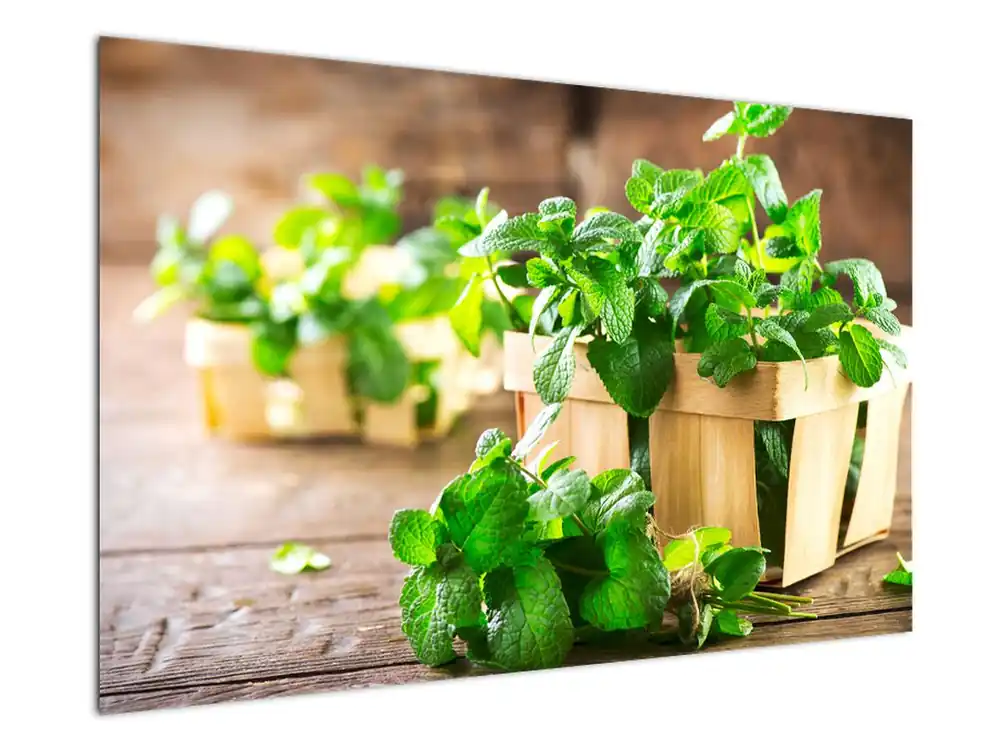 Oryginalny Schilderij - Verse munt